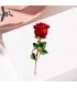 XSB116 - Golden Rose Saree Brooch